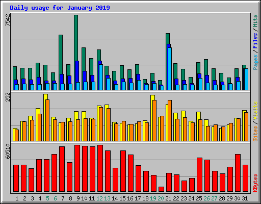 Daily usage for January 2019
