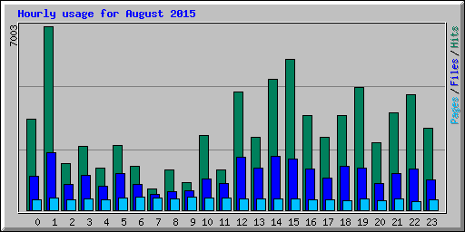 Hourly usage for August 2015