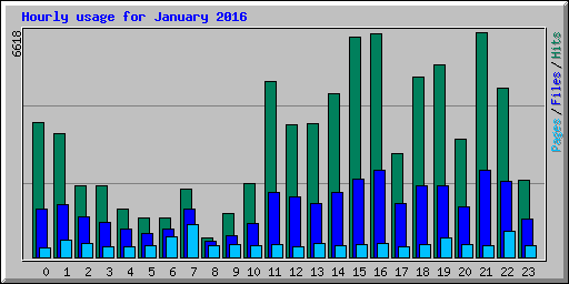 Hourly usage for January 2016