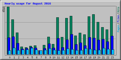 Hourly usage for August 2016