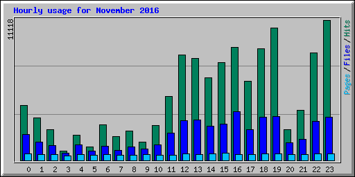 Hourly usage for November 2016