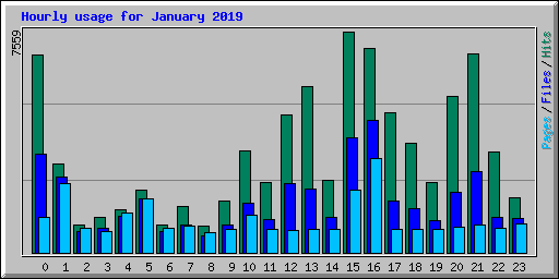 Hourly usage for January 2019
