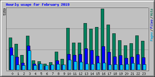 Hourly usage for February 2019