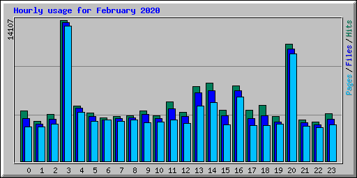 Hourly usage for February 2020